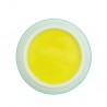 Color Polygel neon Gelb 5 ml NailRevolution®