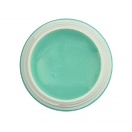 Color Polygel Mint 5 ml...